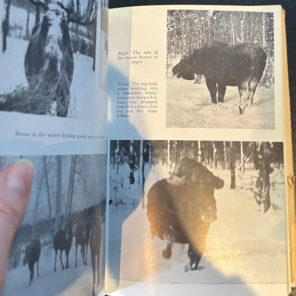 Vintage 1972 Three Against the Wilderness Book by Eric Collier, HCDJ